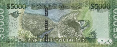 Guyana_BOG_5000_dollars_2013.12.09_B118b_P40_AR_717369_r