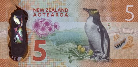 New_Zealand_RBNZ_5_dollars_2015.10.00_B137a_PNL_AB_15240433_r