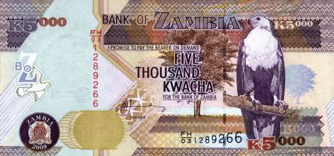 Zambia_BOZ_5000_kwacha_2009.00.00_B147e_P45e_FH-03_1289266_f