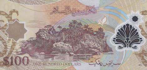 Brunei_BCMB_100_dollars_2013.00.00_B202c_P29_D-19_003065_r