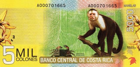 Costa_Rica_BCCR_5000_colones_2009.09.02_B560a_P276_A_000701665_r