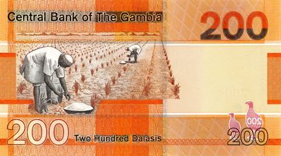 Gambia_CBG_200_dalasis_2019.00.00_B240a_PNL_A_0125270_r