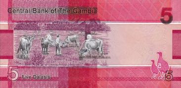 Gambia_CBG_5_dalasis_2019.00.00_B235a_PNL_Z_0033033_+_r