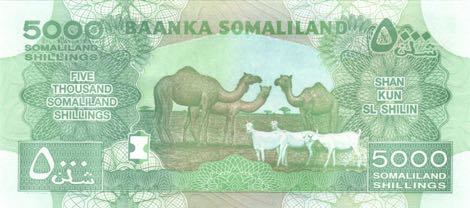 Somaliland_BOS_5000_shillings_2015.00.00_B124c_P21_BT_730499_r