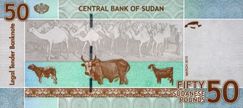 Sudan_CBS_50_sudanese_pounds_2015.03.00_B411b_P75_FH_34651141_r